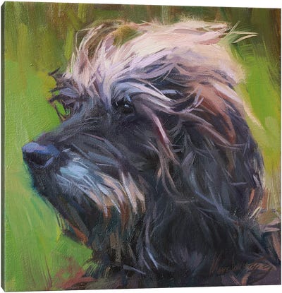 Dog Portrait, Schnauzer Canvas Art Print - Schnauzer Art