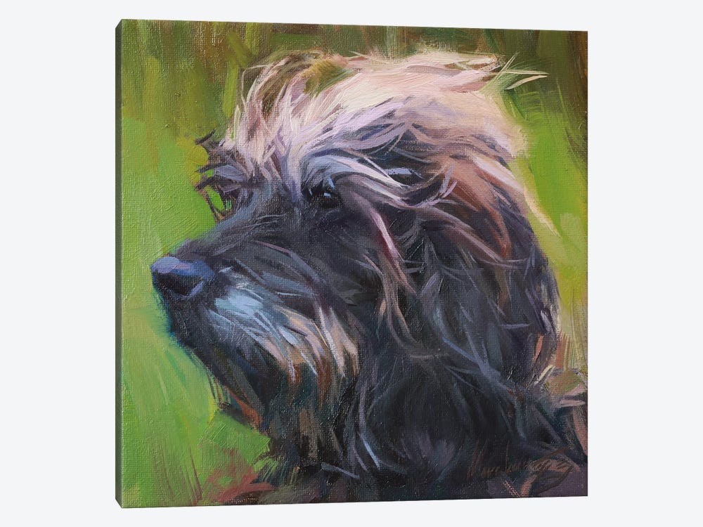 Dog Portrait, Schnauzer by Alex Movchun 1-piece Canvas Art Print