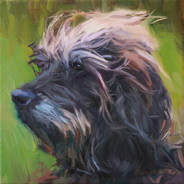Schnauzers: Dog Portrait, Schnauzer by Alex Movchun