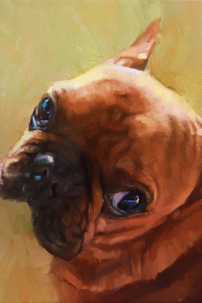 Dog Portrait, French Bulldog by Alex Movchun metal wall art
