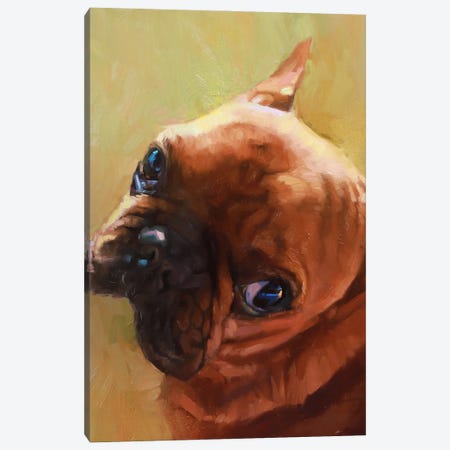 Dog Portrait, French Bulldog Canvas Print #AMV131} by Alex Movchun Canvas Art