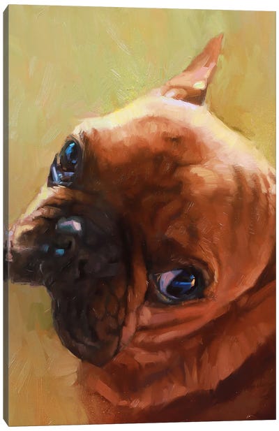 Dog Portrait, French Bulldog Canvas Art Print - Alex Movchun