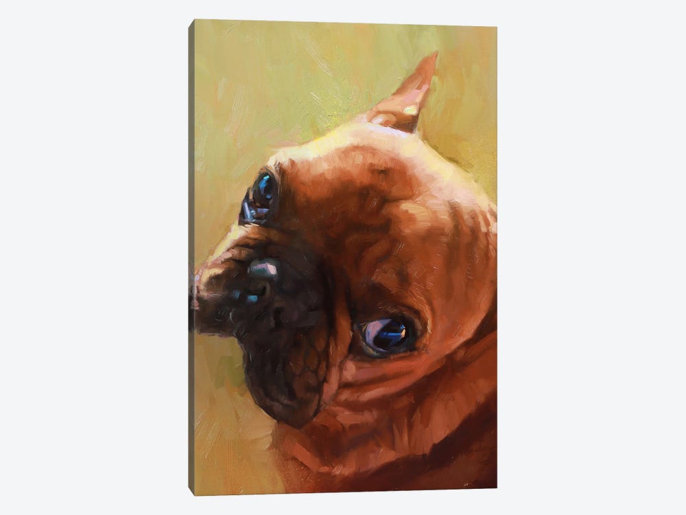 Dog Portrait, French Bulldog by Alex Movchun 1-piece Canvas Artwork