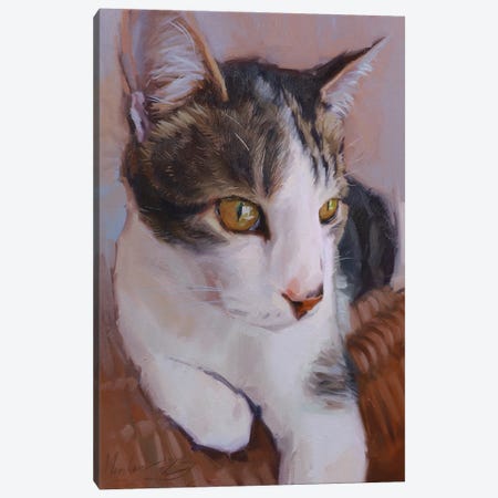 Portrait Of A White And Gray Cat Canvas Print #AMV132} by Alex Movchun Canvas Artwork