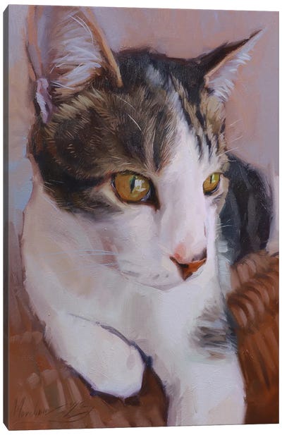 Portrait Of A White And Gray Cat Canvas Art Print - Alex Movchun