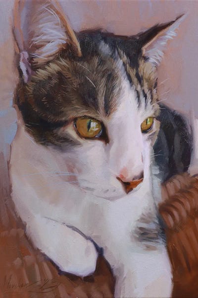 Alex Movchun: Portrait Of A White And Gray Cat by Alex Movchun