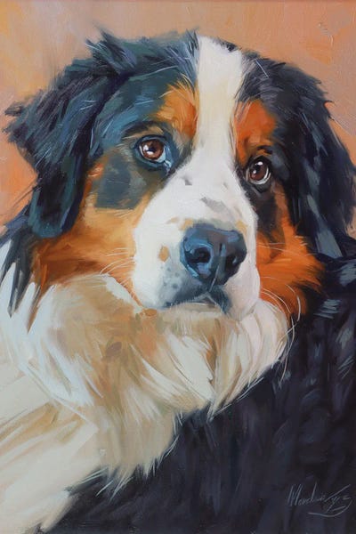 Portrait Of A Bernese Mountain Dog by Alex Movchun framed canvas print