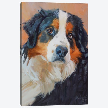 Portrait Of A Bernese Mountain Dog Canvas Print #AMV133} by Alex Movchun Canvas Artwork