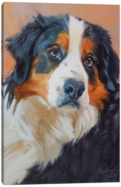 Portrait Of A Bernese Mountain Dog Canvas Art Print - Alex Movchun
