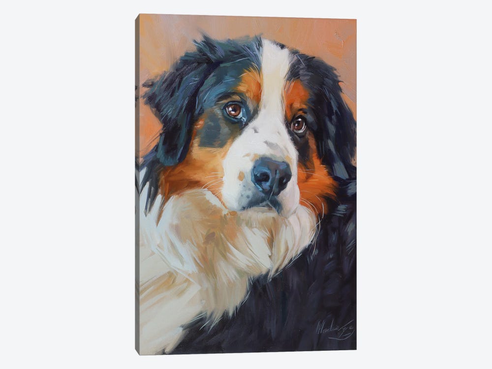 Portrait Of A Bernese Mountain Dog by Alex Movchun 1-piece Canvas Art