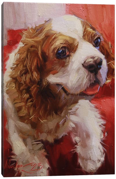 Spaniel In Red Canvas Art Print - Red Art