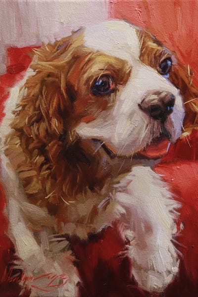 Spaniels: Spaniel In Red by Alex Movchun