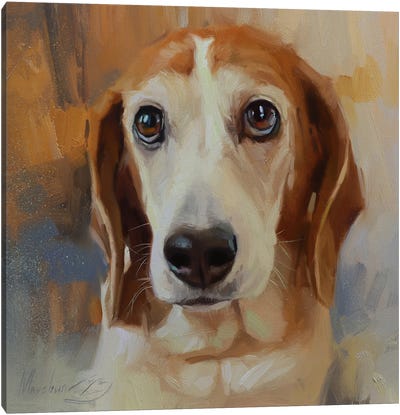 Portrait Of Beagle Canvas Art Print - Alex Movchun