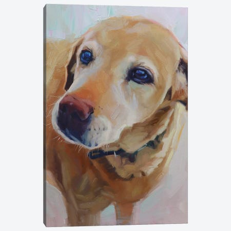 Portrait Of Yellow Labrador Canvas Print #AMV137} by Alex Movchun Art Print