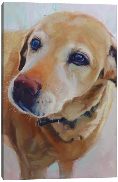 Portrait Of Yellow Labrador Canvas Art Print - Alex Movchun