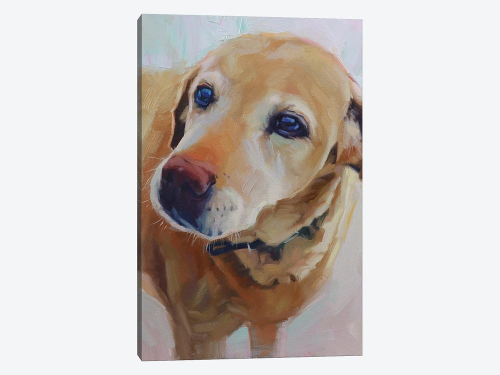 Portrait Of Yellow Labrador by Alex Movchun 1-piece Canvas Wall Art