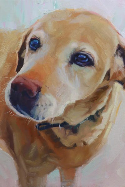 Labrador Retrievers: Portrait Of Yellow Labrador by Alex Movchun