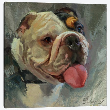 British Bulldog Canvas Print #AMV13} by Alex Movchun Canvas Print