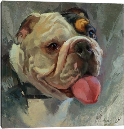 British Bulldog Canvas Art Print - Alex Movchun