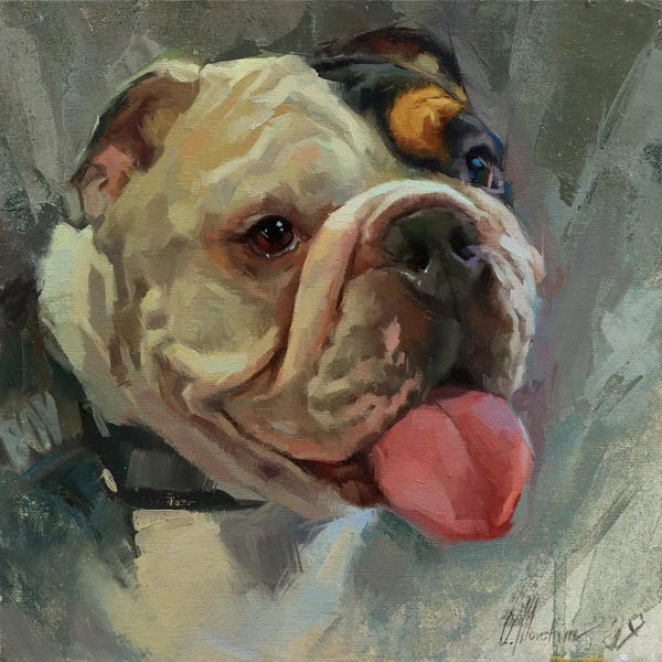 Bulldogs: British Bulldog by Alex Movchun