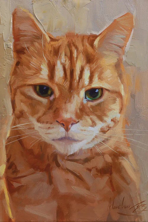 Red Cat Portrait