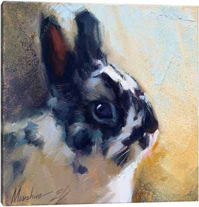 Little Bunny Canvas Art Print - Alex Movchun
