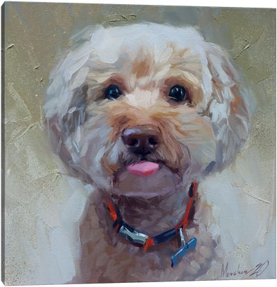 Little Cute Dog Canvas Art Print - Alex Movchun