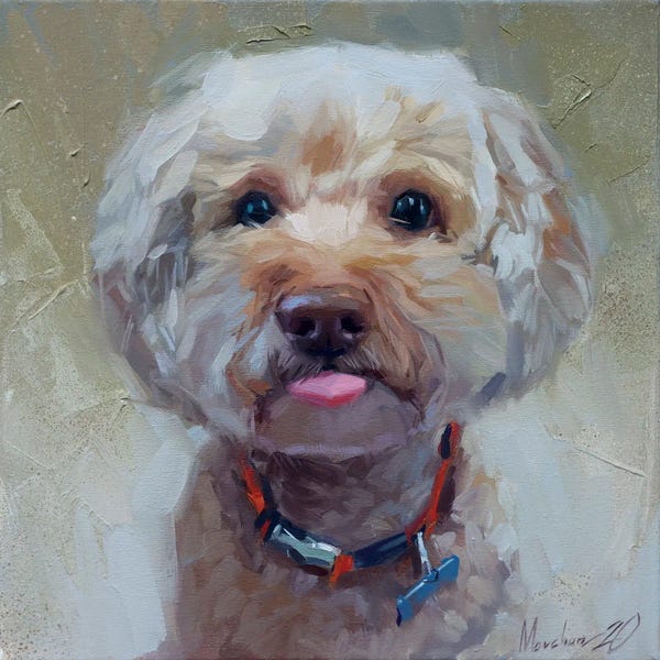 Alex Movchun: Little Cute Dog by Alex Movchun