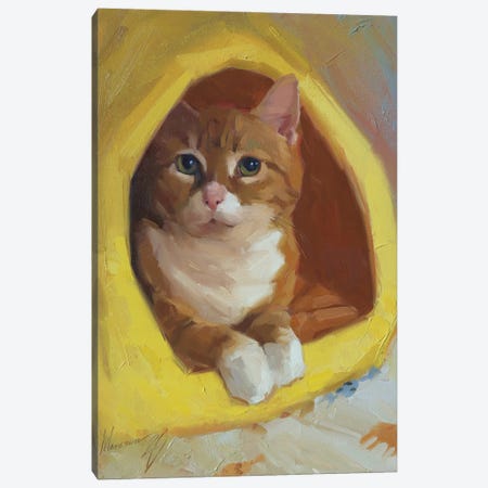 Red Cat Canvas Print #AMV16} by Alex Movchun Canvas Artwork