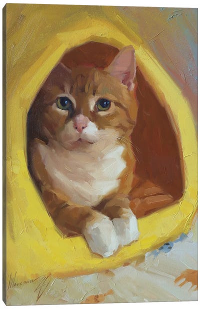 Red Cat Canvas Art Print - Orange Cat Art