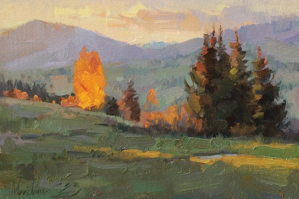 Golden Hour Sunset In The Mountains