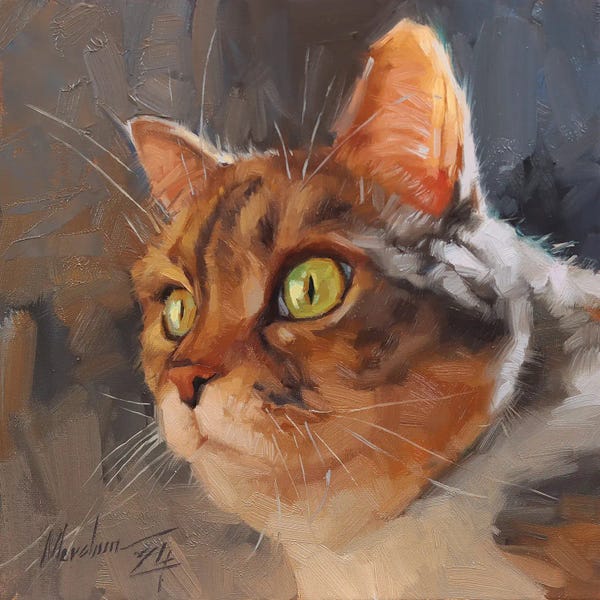 Alex Movchun: Cat Portrait In Oil With Amber Eyes In The Afternoon Light by Alex Movchun