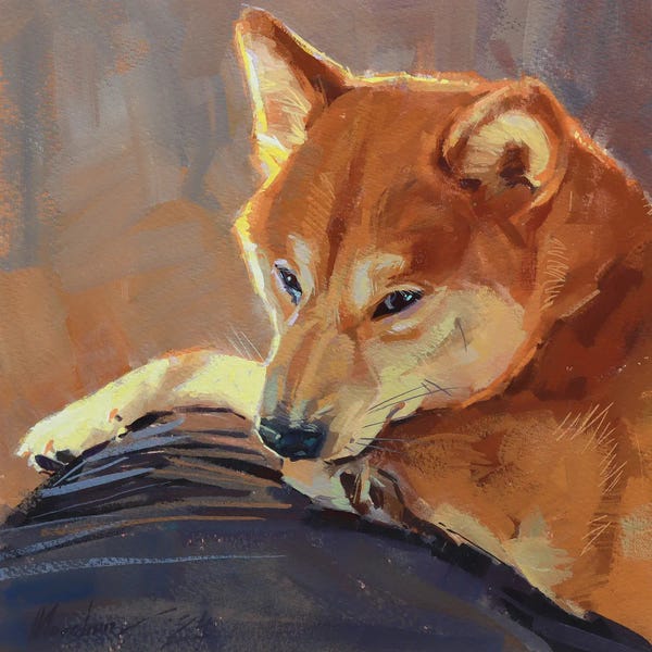 Shiba Inus: Red Shiba Inu Portrait In The Sunlight by Alex Movchun