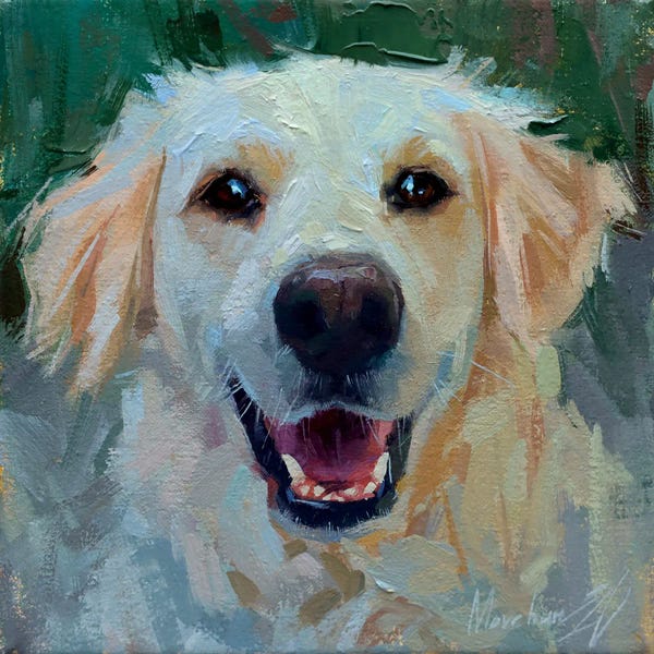 Labrador Retrievers: White Labrador by Alex Movchun