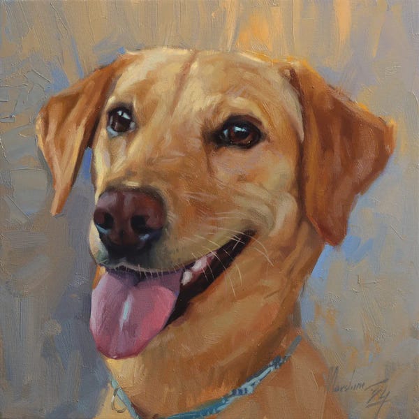 Golden Labrador Retriever Portrait In Oil