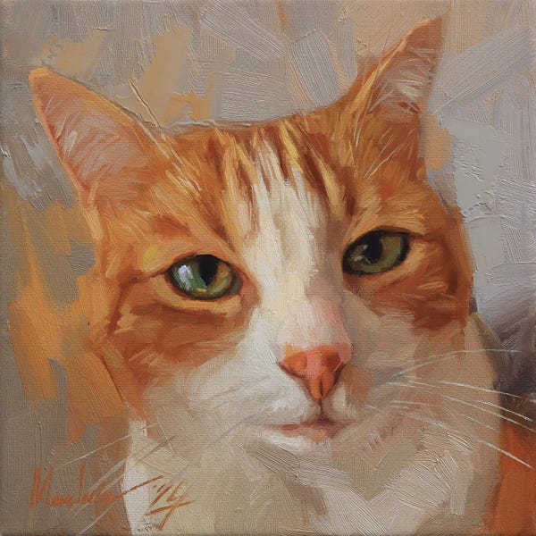 Orange Tabby Cat Portrait In Oil