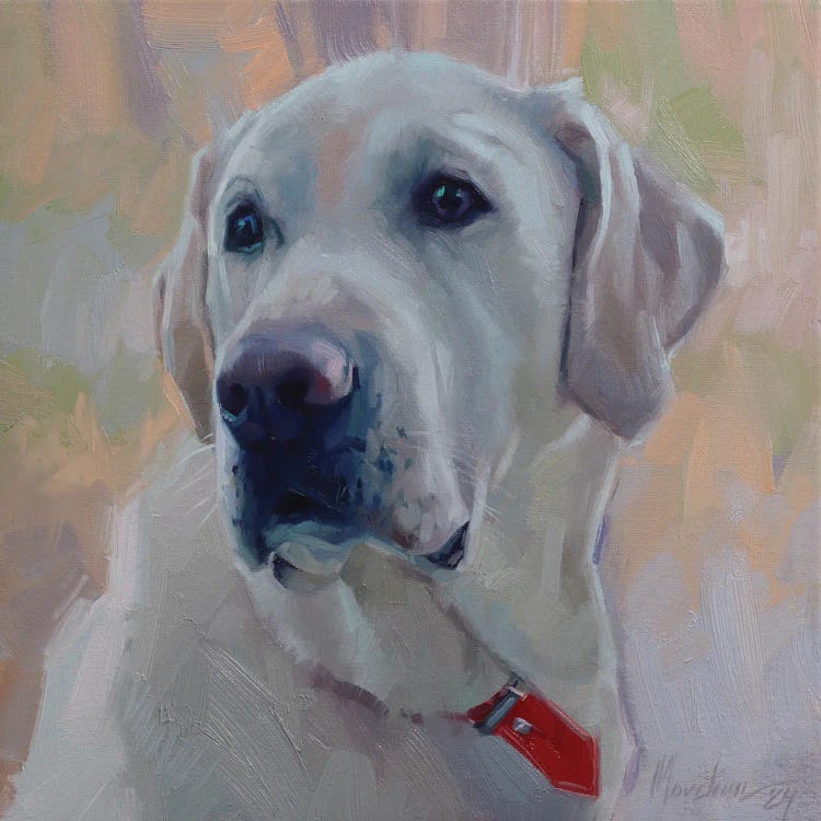 White Labrador Retriever Portrait by Alex Movchun wall art