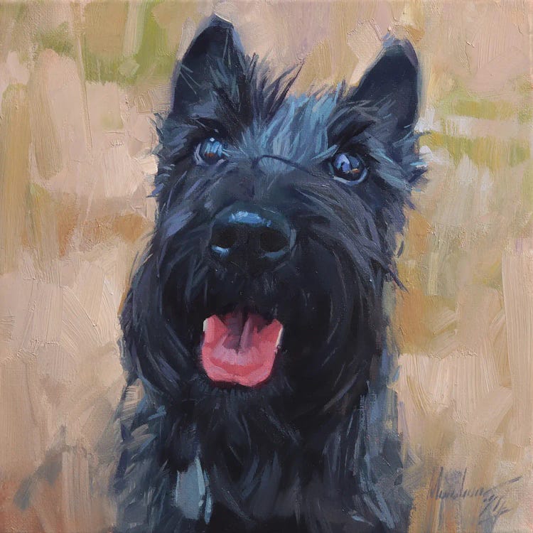 Scottish Terrier Portrait In Oil by Alex Movchun canvas print