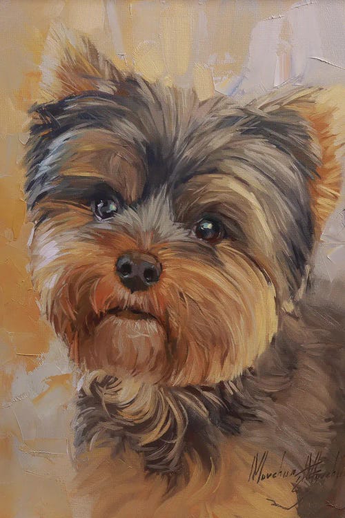 Yorkshire Terrier Portrait In Oil by Alex Movchun canvas print