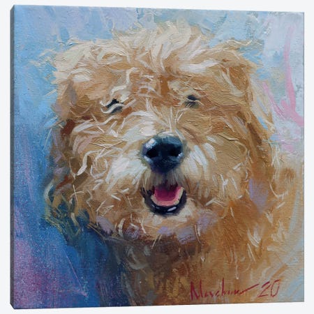 Curly Dog Canvas Print #AMV20} by Alex Movchun Canvas Wall Art
