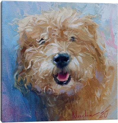 Curly Dog Canvas Art Print
