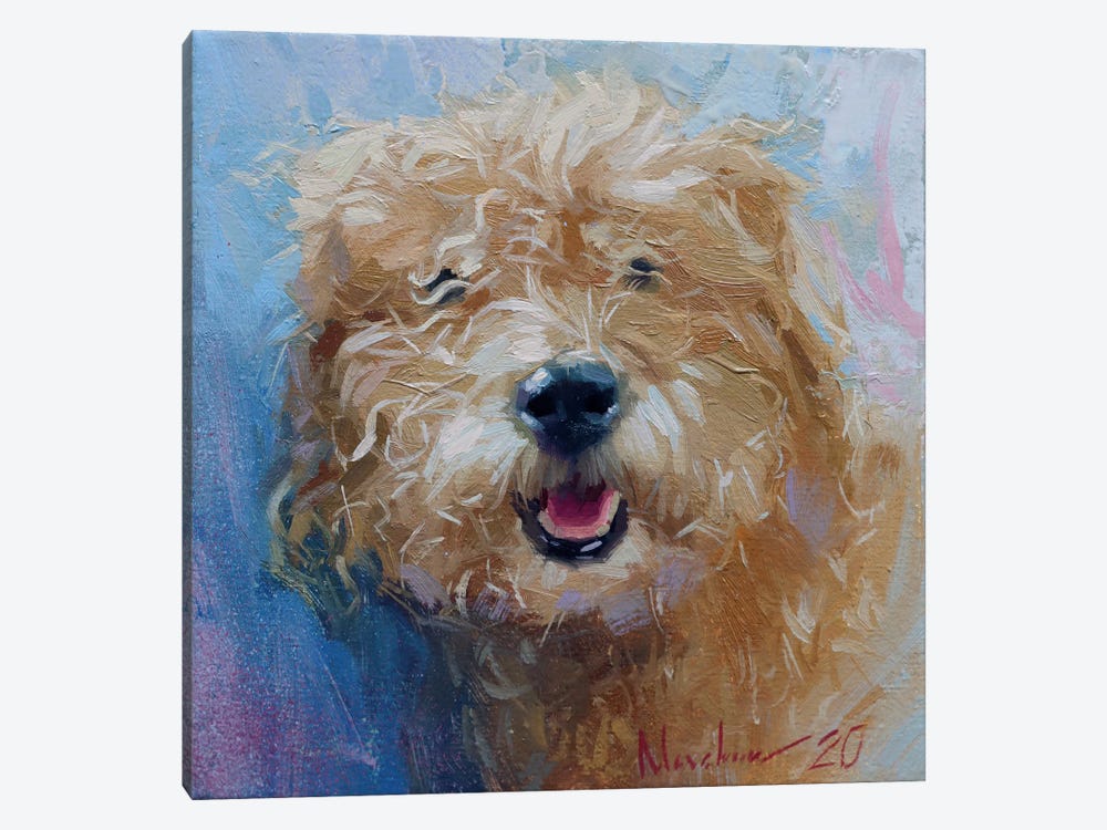 Curly Dog 1-piece Canvas Artwork