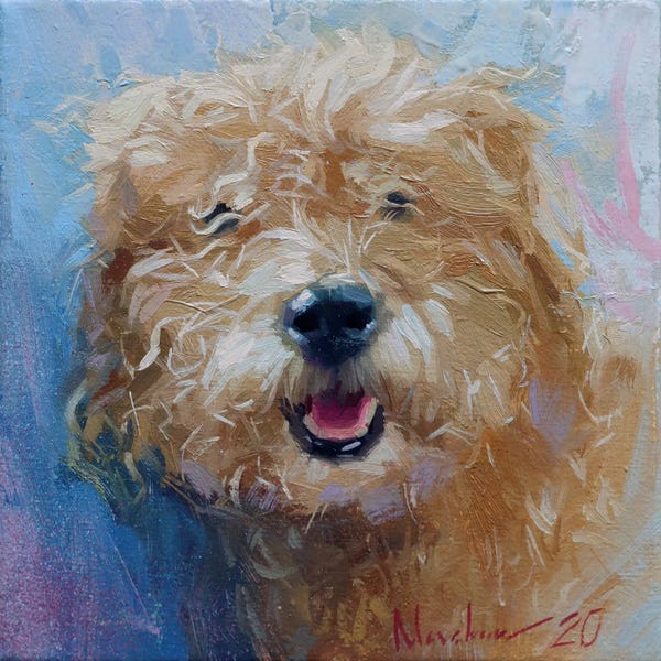 Curly Dog