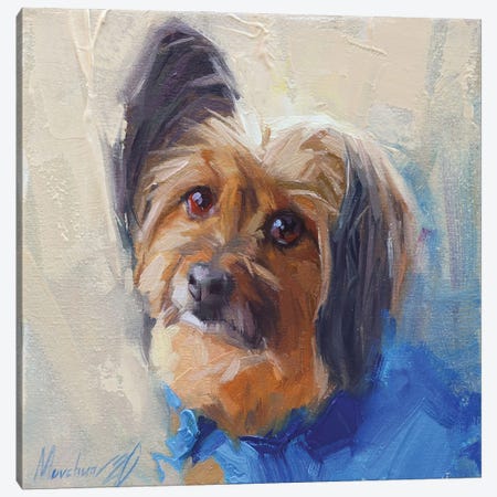 Yorkshire Terrier Canvas Print #AMV22} by Alex Movchun Canvas Wall Art