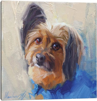Yorkshire Terrier Canvas Art Print - Alex Movchun