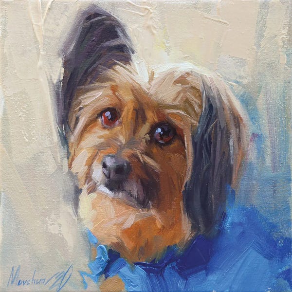 Terriers: Yorkshire Terrier by Alex Movchun
