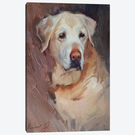 Yellow Labrador Canvas Print #AMV23} by Alex Movchun Canvas Wall Art