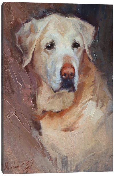 Yellow Labrador Canvas Art Print - Alex Movchun