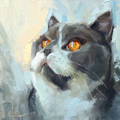 Gray Cat by Alex Movchun framed wall art