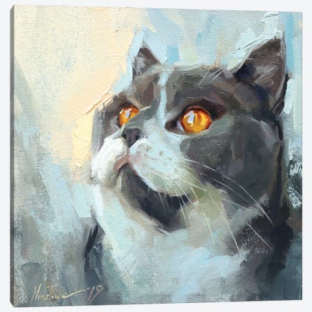 Gray Cat Canvas Print #AMV26} by Alex Movchun Canvas Print
